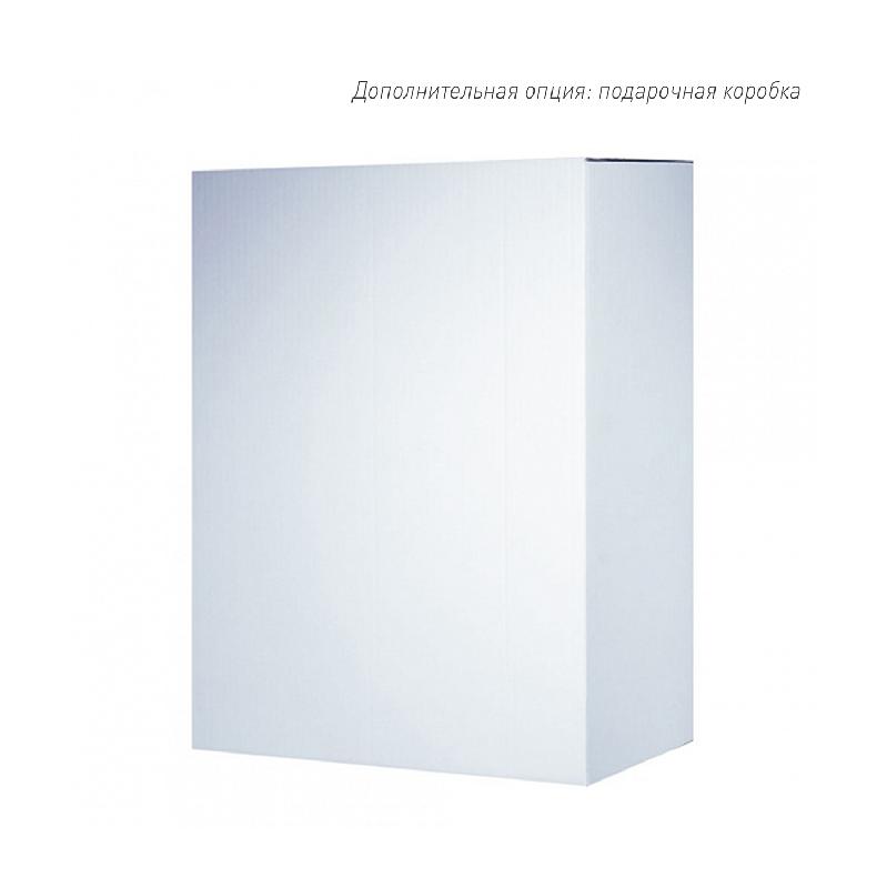 Бизнес рюкзак Таллер (Taller)  с USB разъемом