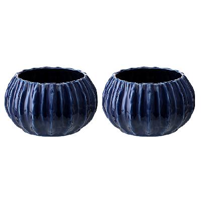 Набор из 2 салатников actinia  из коллекции sea treasures, 640 мл