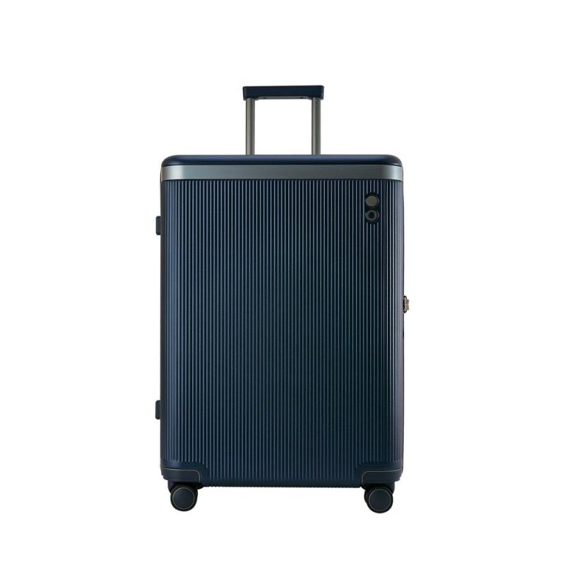 Чемодан Dynasty S