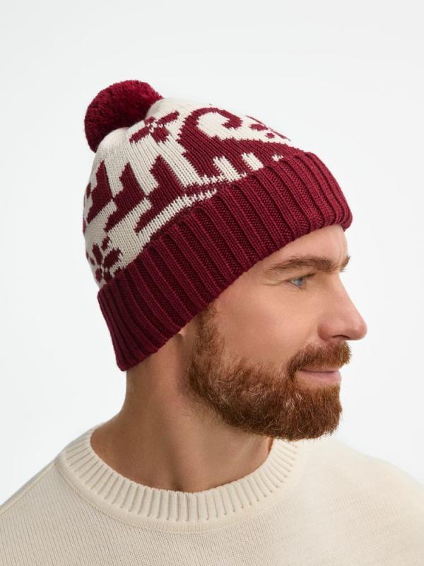 Шапка Wintertude