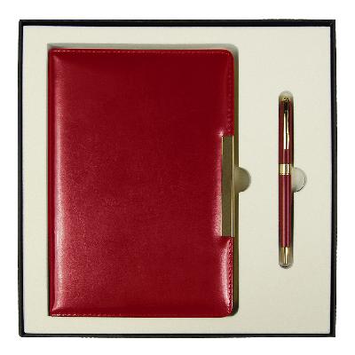 Набор подарочный Solution Duo (ежедневник City Moderna Pristine, ручка Gamma)