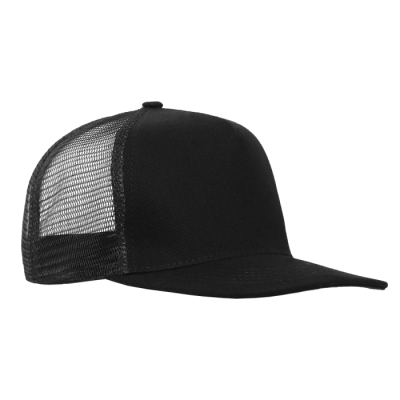 Бейсболка прямой козырёк STAN 5 клиньев хлопок 330,09