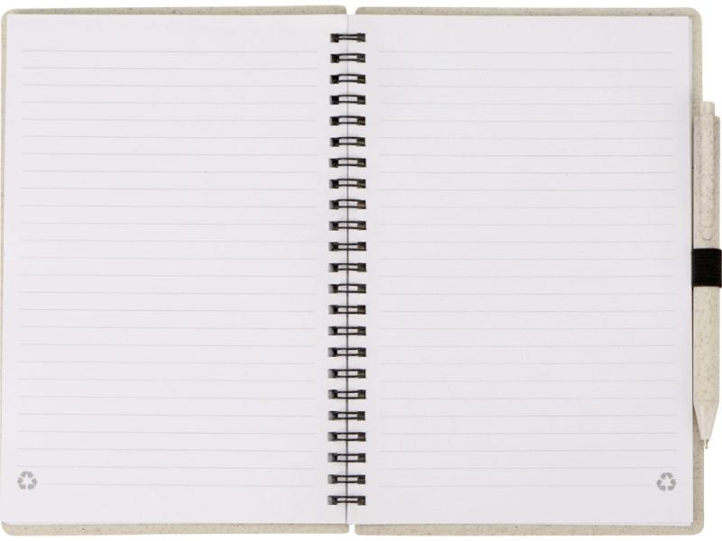 Блокнот А5 Toledo M с обложкой из пшеницы и пластика и шариковой ручкой