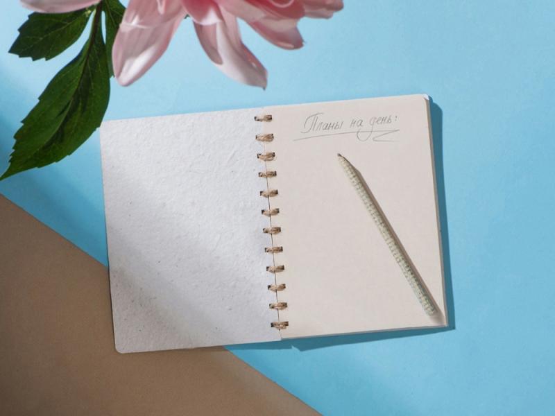 Блокнот А5 с бумажным карандашом и семенами цветов микс