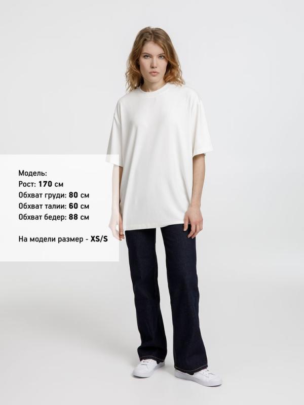 Футболка оверсайз унисекс Lavinia