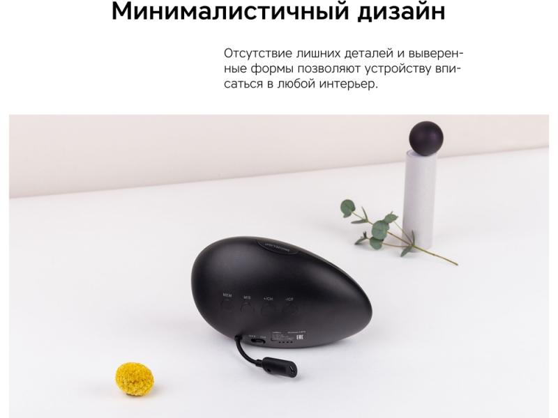 Метеостанция StoneCast 2 WTS