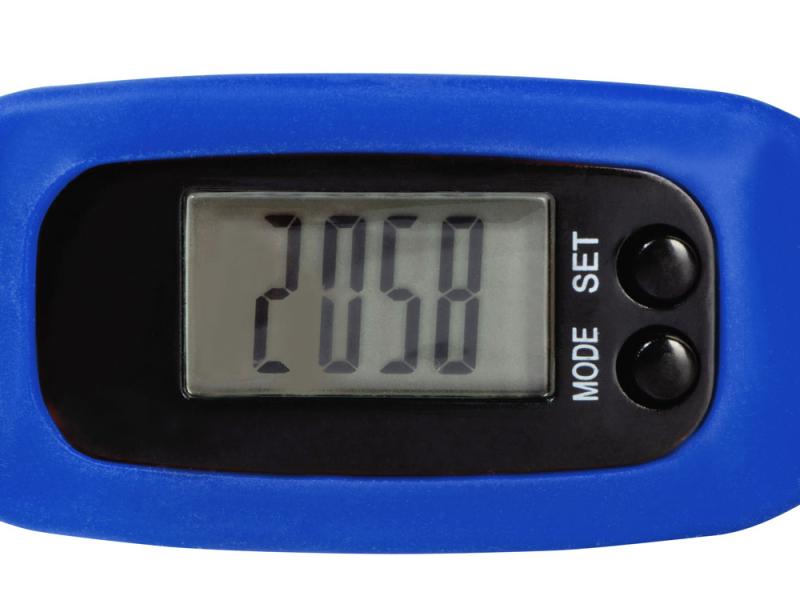 Часы с шагомером Ridley