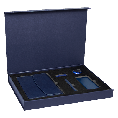 Набор подарочный Solution Prestige Сinque (Суперобложка, флешка, ручка шариковая, внешний аккумулятор, колонка)