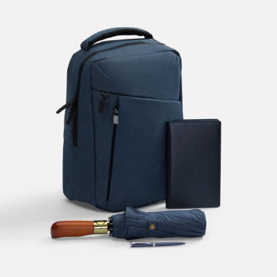 Набор Remini Travel